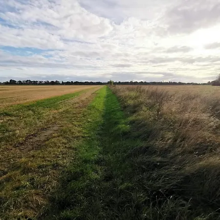 8 Person In Dannemare-by Traum *