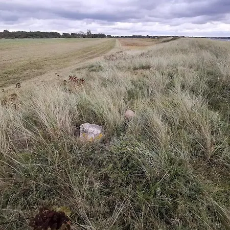 8 Person In Dannemare-by Traum 펜션