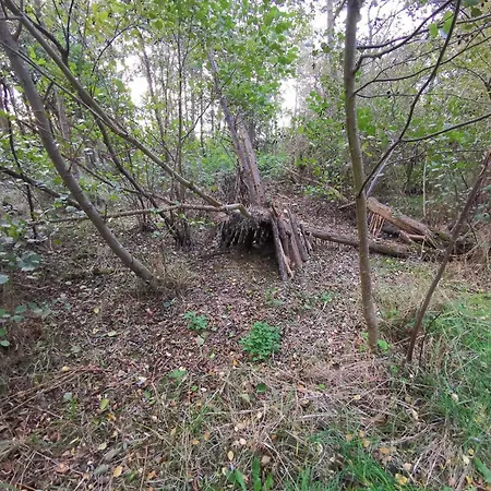 8 Person In Dannemare-by Traum Dannemare