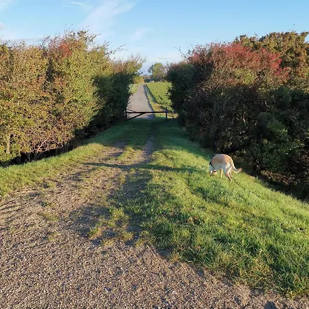 8 Person In Dannemare-by Traum בית נופש Dannemare