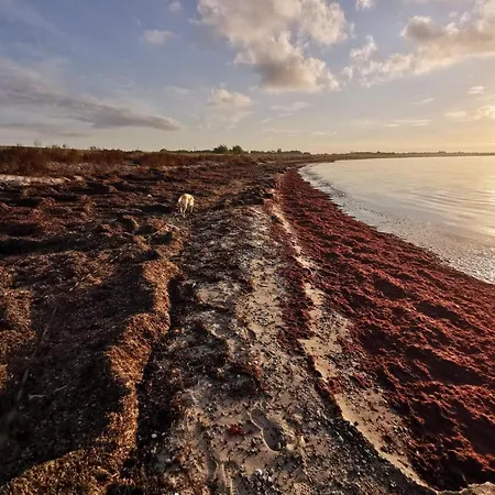 펜션 8 Person In Dannemare-by Traum *