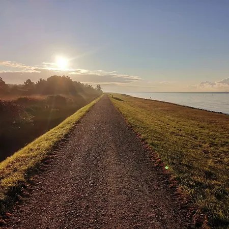 8 Person In Dannemare-by Traum *